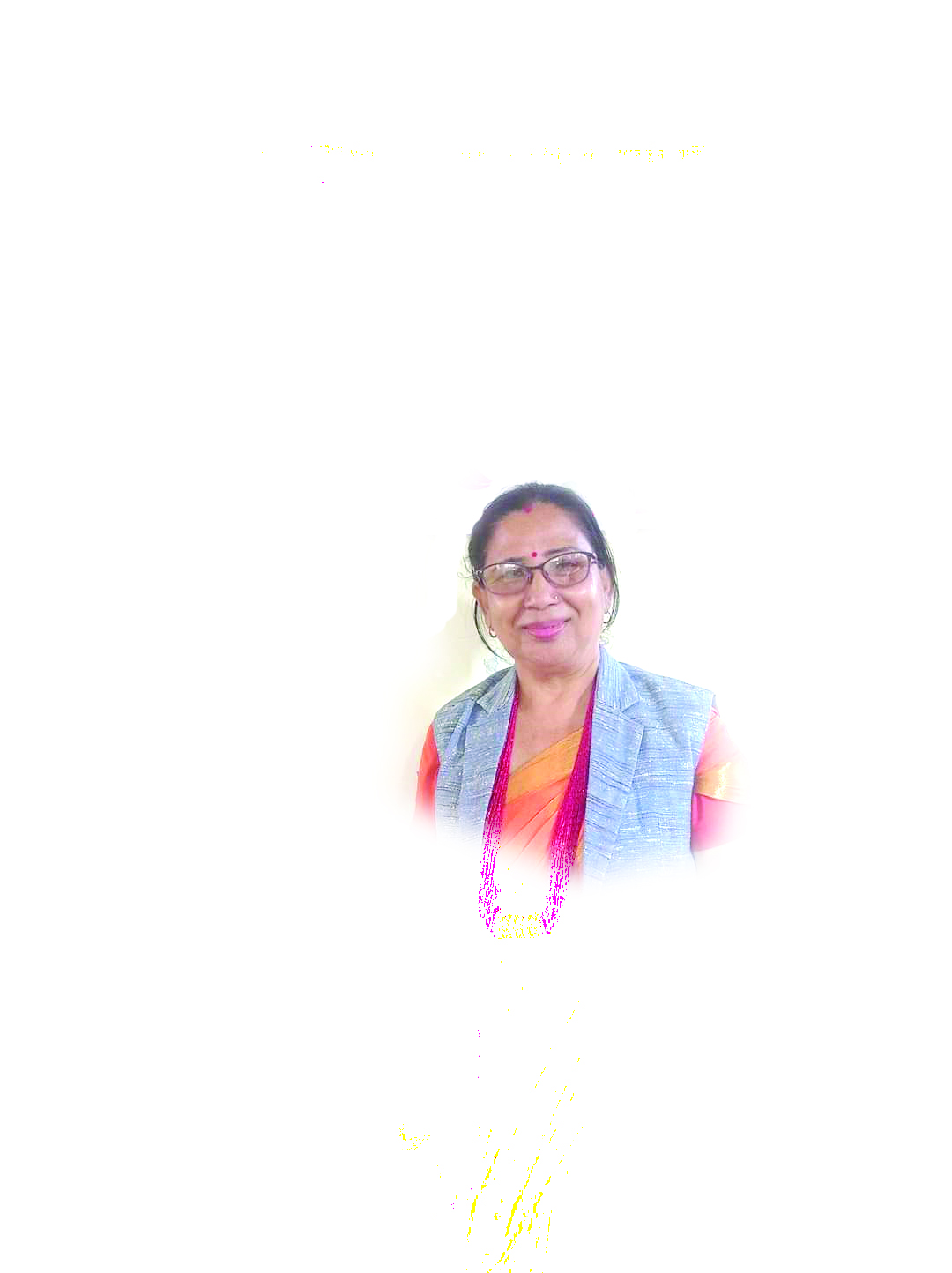 Mr. Damodar Adhikari